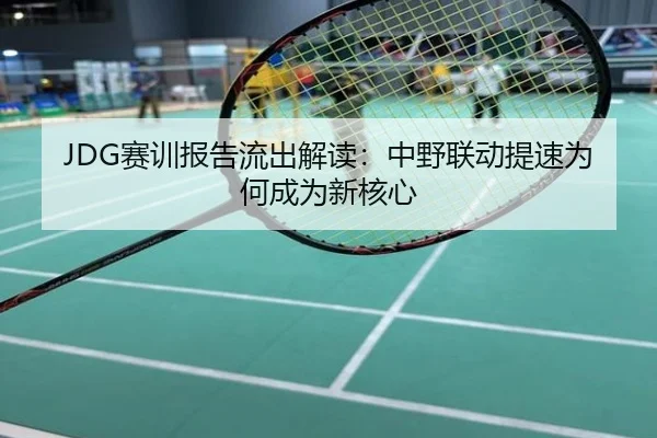 JDG赛训报告流出解读：中野联动提速为何成为新核心